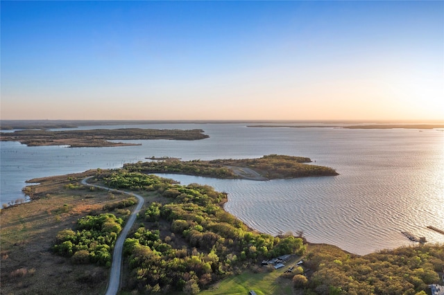 14142 Maida Dr, Pilot Point, TX 76258 - water view