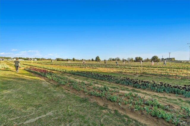 14142 Maida Dr, Pilot Point, TX 76258 - view of green lawn with a view of countryside
