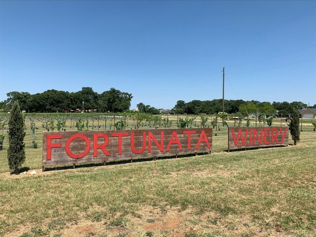 14142 Maida Dr, Pilot Point, TX 76258 - community sign with a lawn