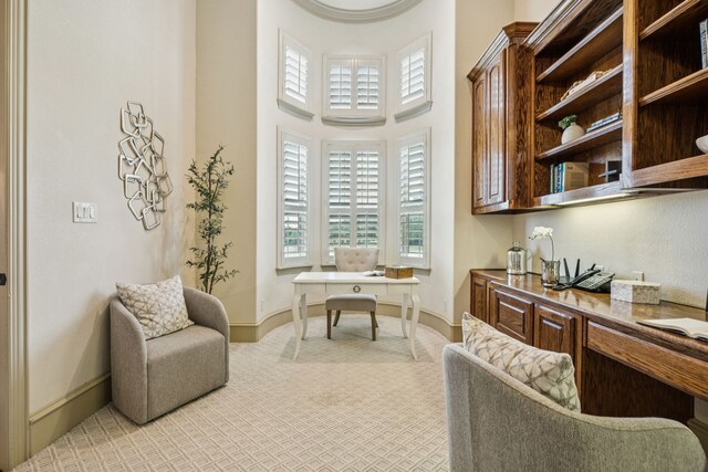 211 Tanner Creek Cir, Sunnyvale, TX 75182 - office featuring light colored carpet, plenty of natural light, and a towering ceiling