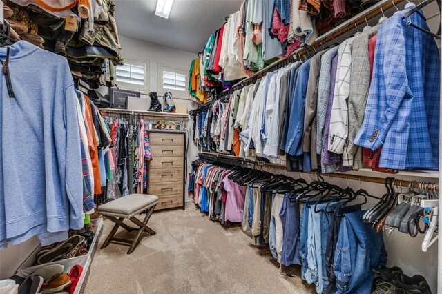 917 Stone Cottage Ln, Mckinney, TX 75069 - walk in closet with carpet floors