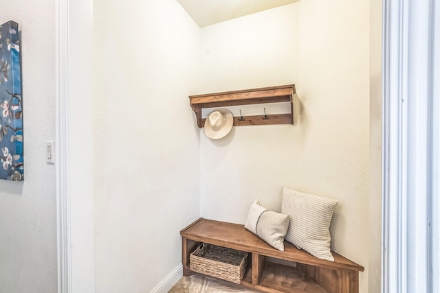 10133 Leaping Buck Pt, Fort Worth, TX 76126 - mudroom featuring baseboards