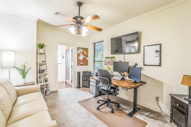 10133 Leaping Buck Pt, Fort Worth, TX 76126 - office space featuring a ceiling fan, ornamental molding, and carpet flooring