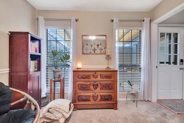 3003 Rustling Leaves Ln, Bedford, TX 76021 - sitting room featuring carpet and a textured ceiling