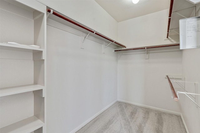 3212 Cantura Dr, Mesquite, TX 75181 - walk in closet with carpet floors