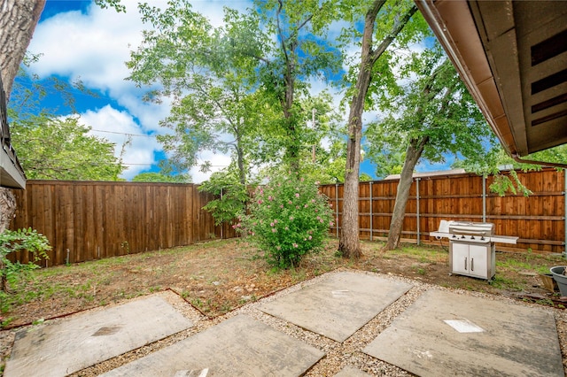2305 Briarwood Ln, Carrollton, TX 75006 - fenced backyard featuring a patio area