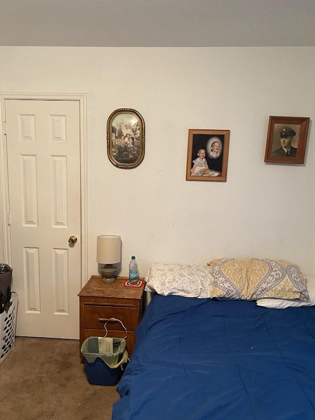 253 Pine Crest Dr, Justin, TX 76247 - bedroom featuring carpet
