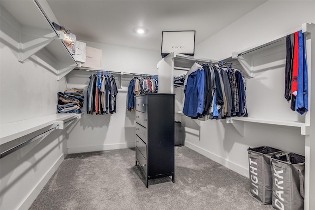 381 E Greenbriar Ln Unit 501, Dallas, TX 75203 - walk in closet with carpet flooring
