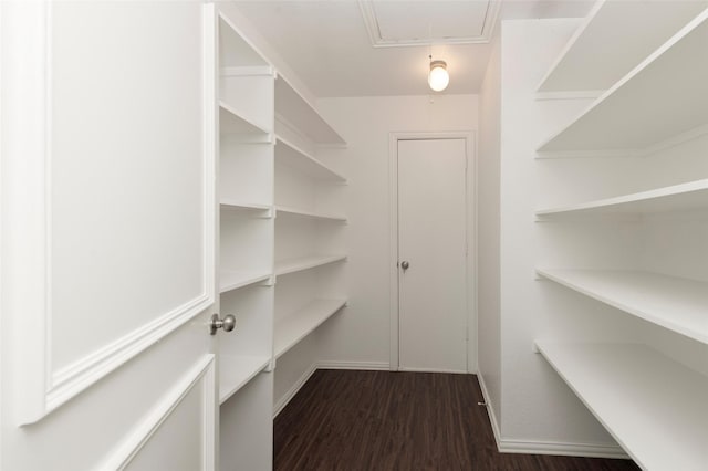 5729 Ridgehaven Dr, Plano, TX 75093 - view of pantry