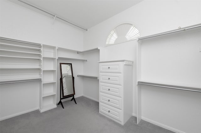5729 Ridgehaven Dr, Plano, TX 75093 - walk in closet featuring carpet floors