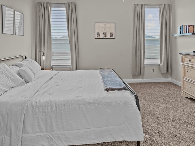 200 Tanager Dr, Rhome, TX 76078 - bedroom with carpet and baseboards