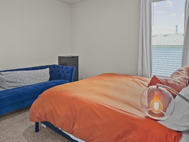 200 Tanager Dr, Rhome, TX 76078 - view of carpeted bedroom
