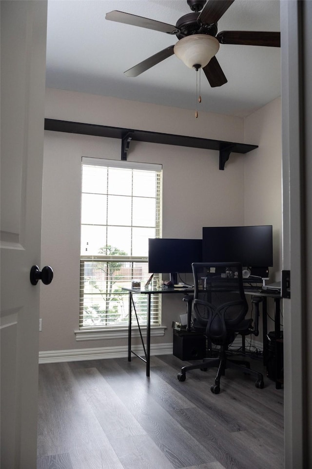 305 Shepherd Ln, Royse City, TX 75189 - office featuring wood finished floors and ceiling fan