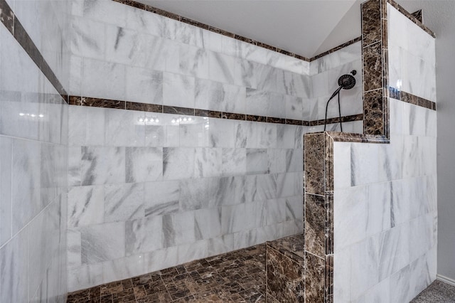 1403 Bosher Dr, Cedar Hill, TX 75104 - full bath with lofted ceiling and walk in shower