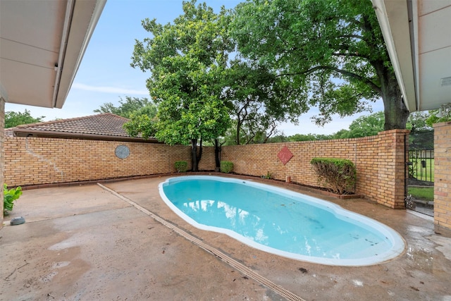 809 Havenwood Ln S, Fort Worth, TX 76112 - view of pool featuring a patio area and a fenced backyard