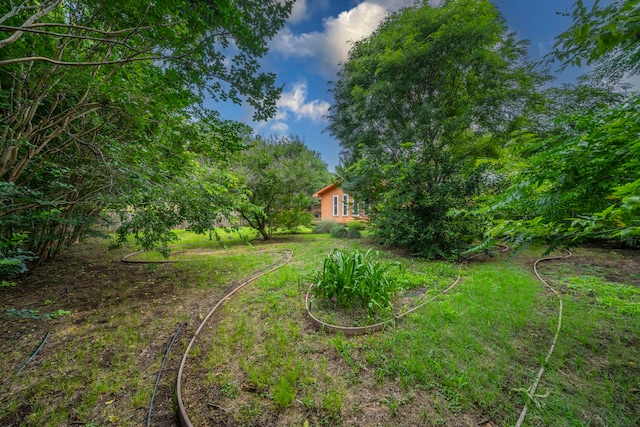 1022 Kings Row, Denton, TX 76209 - view of yard