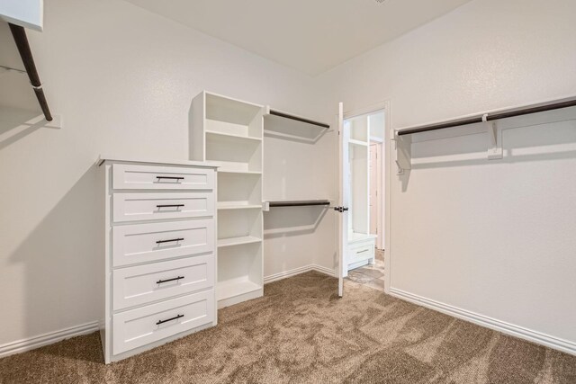 140 Godstone Ln, Prosper, TX 75078 - walk in closet featuring carpet flooring