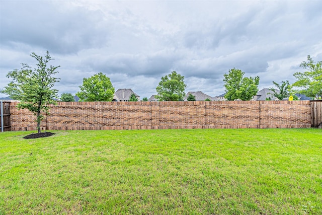 2150 Bristlegrass Rd, Frisco, TX 75033 - view of yard