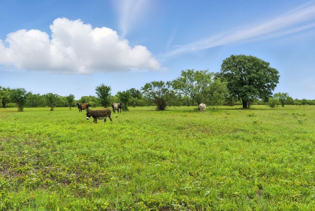 TBD County Road 275, Dublin, TX 76446