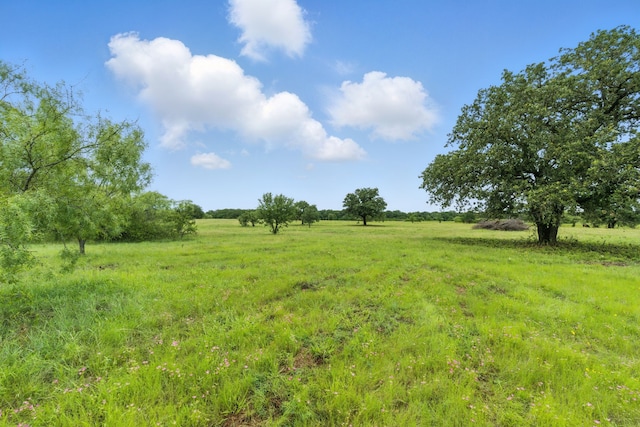 TBD County Road 275, Dublin, TX 76446