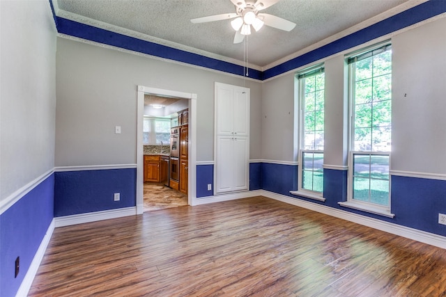 5008 Natchez Dr, Sachse, TX 75048 - spare room featuring light wood-style floors, healthy amount of natural light, and a textured ceiling