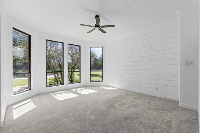 805 S Duncan Creek Ct, Weatherford, TX 76087 - spare room with carpet, crown molding, and a ceiling fan