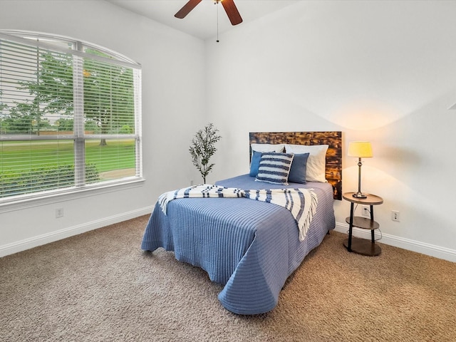 3241 Mindy Ln, Midlothian, TX 76065 - bedroom featuring carpet flooring, multiple windows, and a ceiling fan
