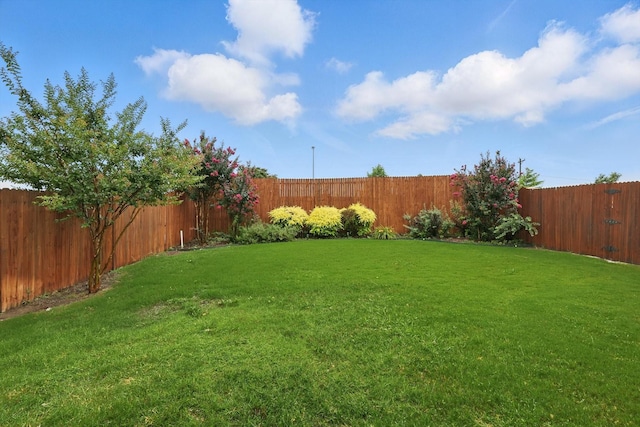 3516 San Patricio Dr, Plano, TX 75025 - view of fenced backyard