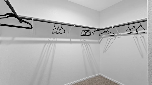 139 Gerber Ln, Boyd, TX 76023 - spacious closet featuring carpet flooring