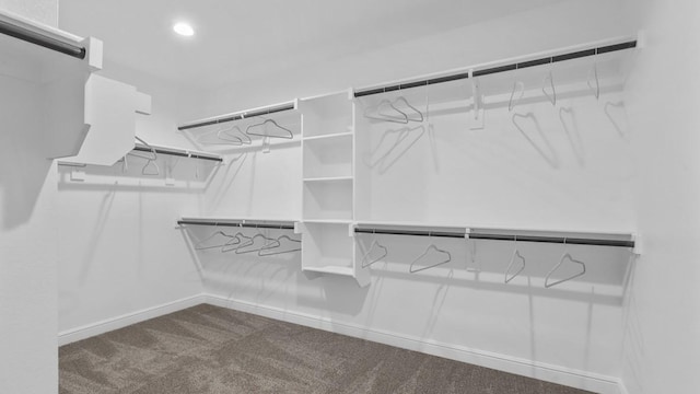 1270 Quartzite St, Cedar Hill, TX 75104 - spacious closet with carpet