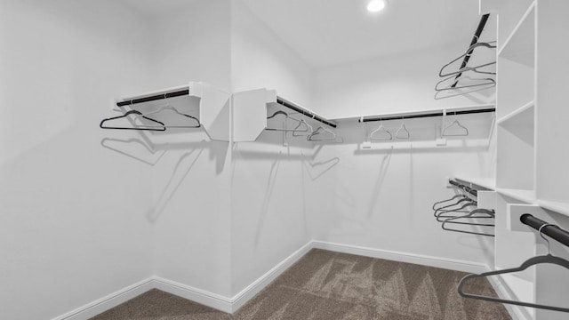 1270 Quartzite St, Cedar Hill, TX 75104 - walk in closet featuring dark carpet