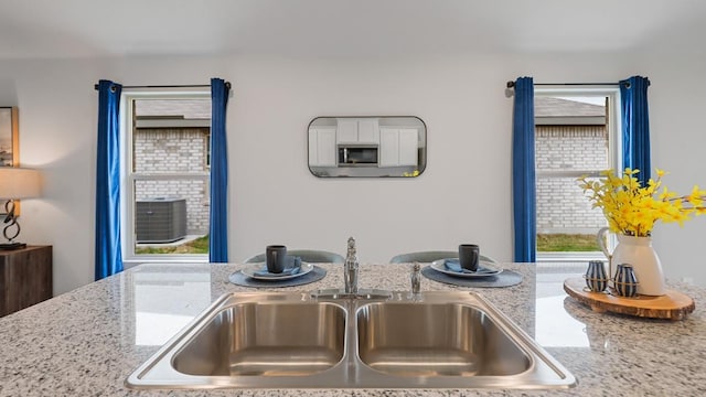 118 Gerber Ln, Boyd, TX 76023 - detailed view of light stone counters, white cabinets, and stainless steel microwave