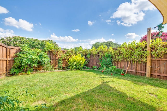 2009 Reddenson Dr, Carrollton, TX 75010 - view of fenced backyard