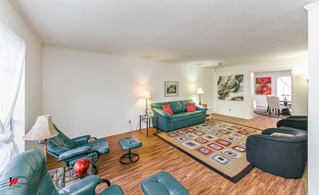 719 Edgemont St, Shreveport, LA 71106 - living area with wood finished floors and a textured ceiling