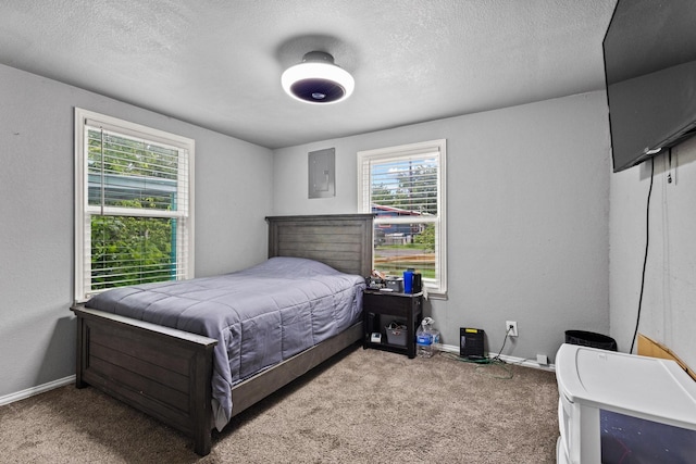 84 Kristin Dr, Pottsboro, TX 75076 - bedroom with carpet floors, electric panel, and a textured ceiling
