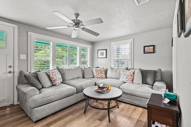 84 Kristin Dr, Pottsboro, TX 75076 - living room featuring wood finished floors, ceiling fan, and a textured ceiling