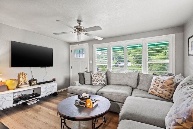 84 Kristin Dr, Pottsboro, TX 75076 - living room with plenty of natural light, a ceiling fan, wood finished floors, and a textured ceiling