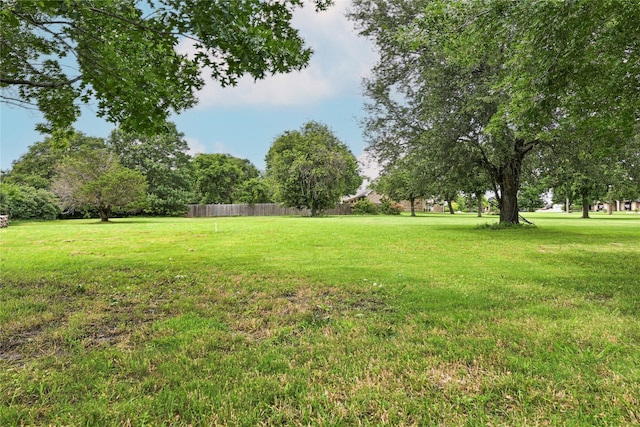 104 Coldwater Creek Ln, Weatherford, TX 76088 - view of yard