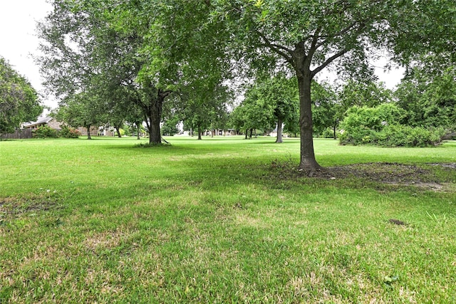 104 Coldwater Creek Ln, Weatherford, TX 76088 - view of green lawn