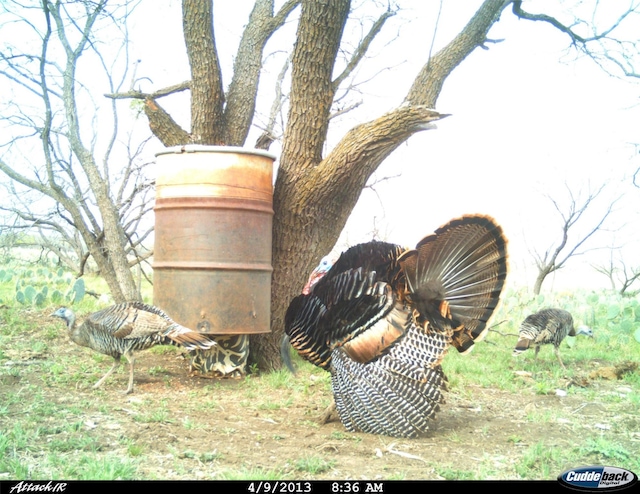 970 County Road 256, Coleman, TX 76834