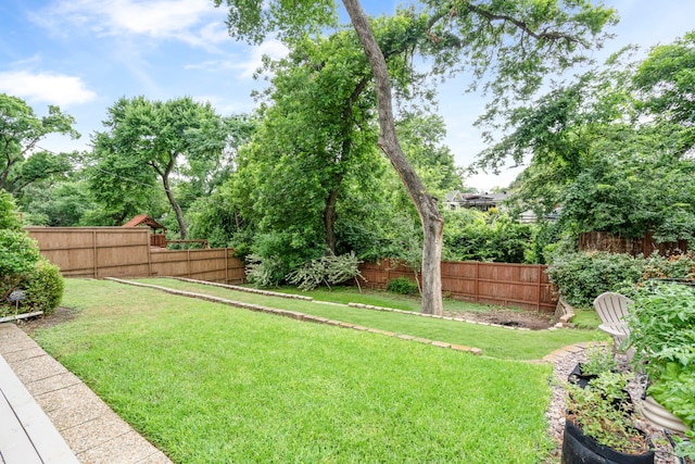 7845 Blackbird Ln, Dallas, TX 75238 - view of fenced backyard