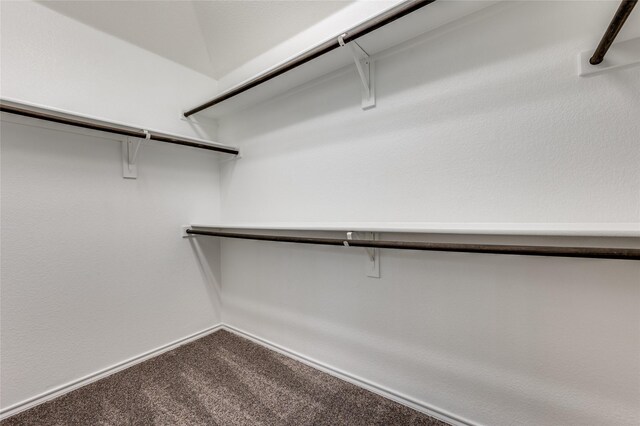 408 Citation Ln, Ponder, TX 76259 - spacious closet featuring carpet