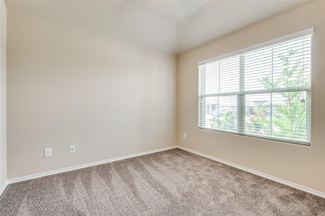 408 Citation Ln, Ponder, TX 76259 - empty room featuring carpet and lofted ceiling