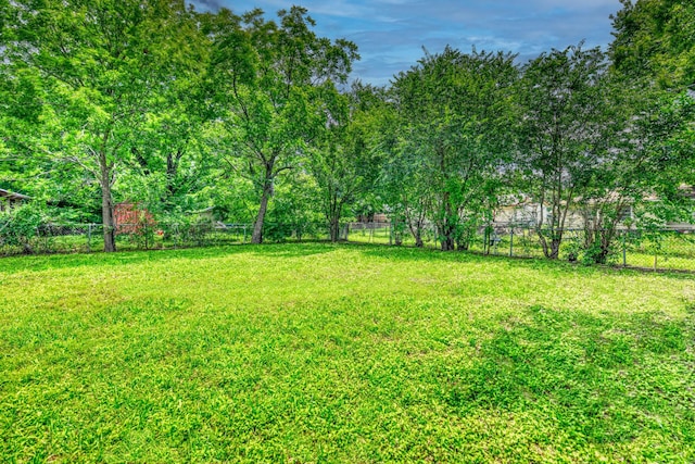 1112 Leyenda Dr, Mesquite, TX 75149 - view of yard