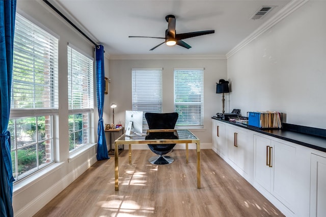 1404 Settlers Ct, Allen, TX 75002 - home office featuring light wood-style flooring, healthy amount of natural light, a ceiling fan, and ornamental molding