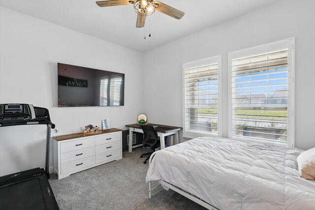 1208 S Pecan Pkwy, Northlake, TX 76247 - carpeted bedroom with multiple windows and a ceiling fan