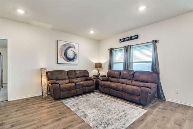 706 Meadow Creek Ln, Josephine, TX 75189 - living area featuring wood finished floors and recessed lighting
