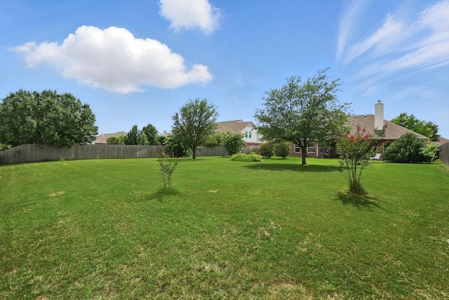 13272 Blue Jean Dr, Fort Worth, TX 76052 - view of yard