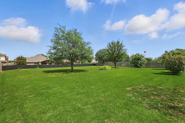 13272 Blue Jean Dr, Fort Worth, TX 76052 - view of yard