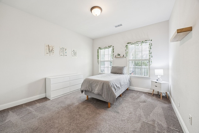 1017 Appalachian Ln, Savannah, TX 76227 - carpeted bedroom with baseboards